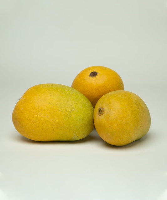 Why Chausa Mango is a Summer Favorite in India 🍋🌞