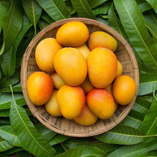 Carbide free mangoes safe to eat mango