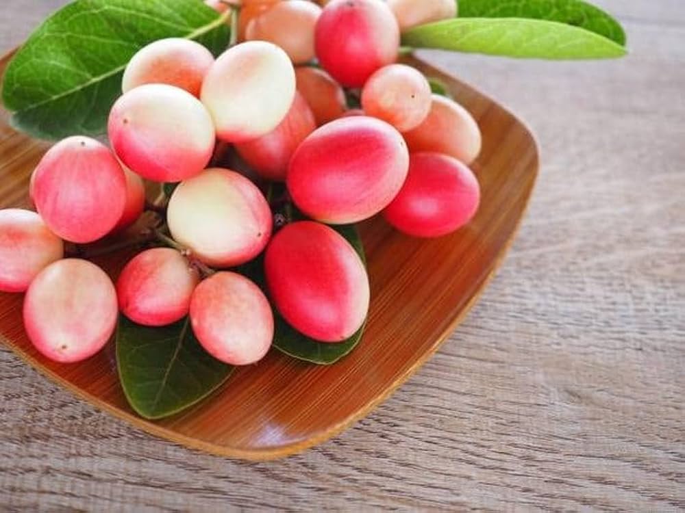 Karonda (Carissa Carandas) – Tangy, Wild & Healthy - ASD Orchards