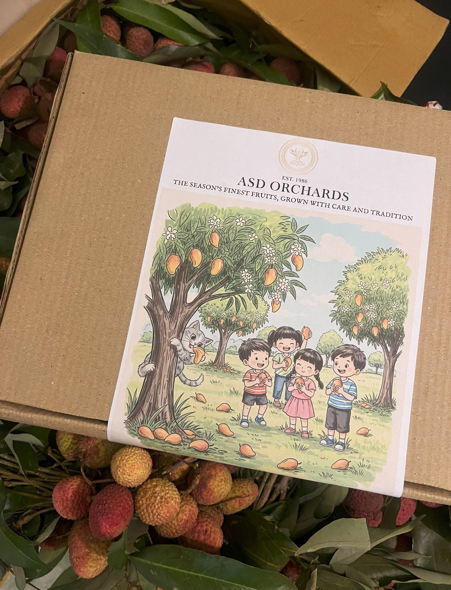 ASD Orchards Litchi Box 2kg 3kg 5kg Gift pack