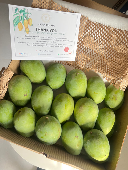 Langra Mango Farm fresh carbide free