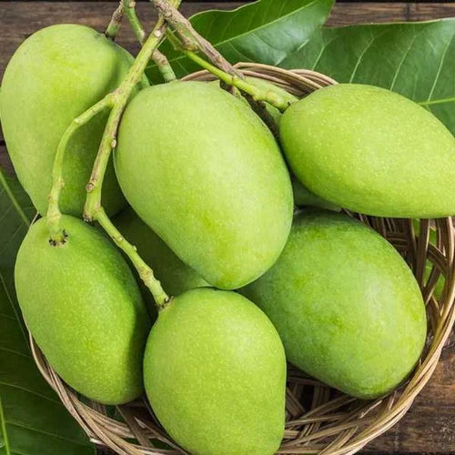 Ramkela Mango – Best Raw Mango for Pickling (Pre-Book Now) - ASD Orchards