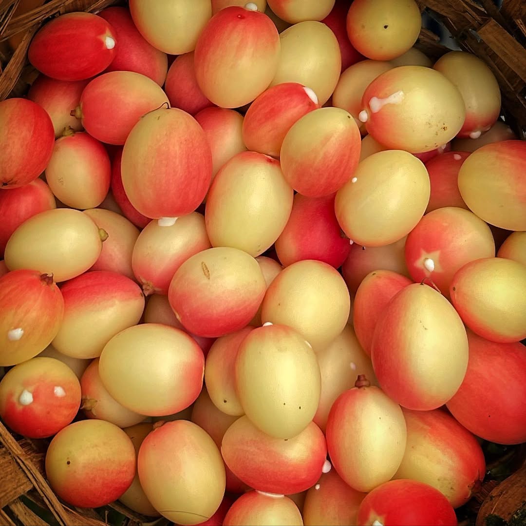 Healthy fresh foods and vegetables in Delhi