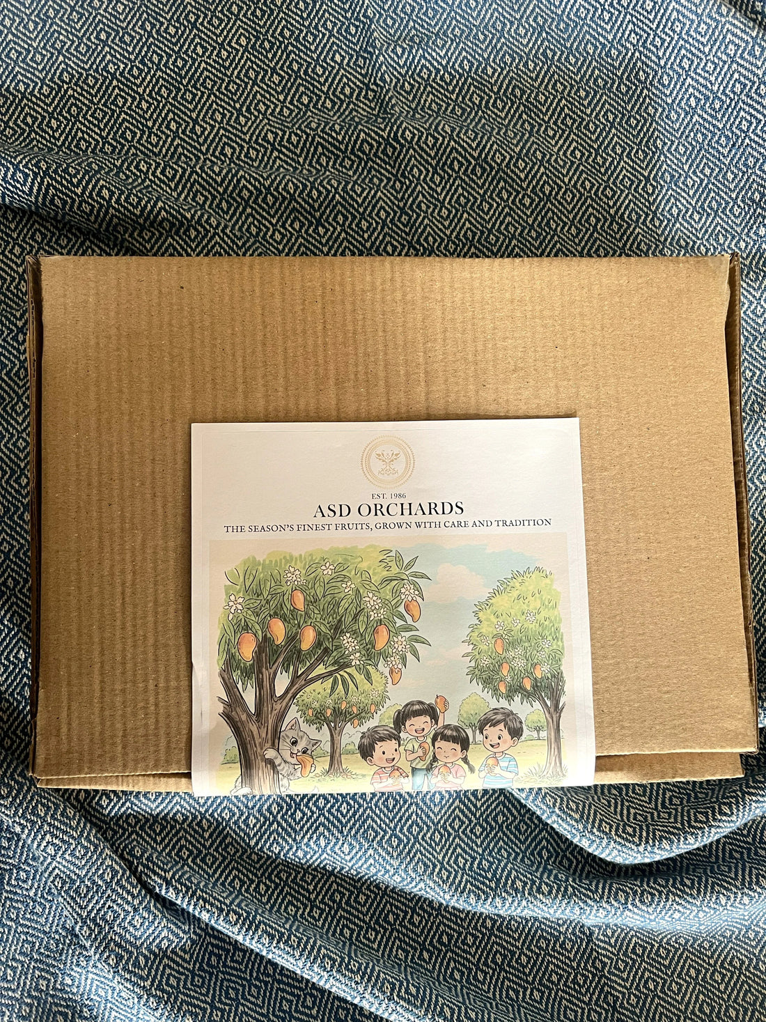 From Our Orchard to Your Home – Thoughtful Packaging, Pure Freshness
