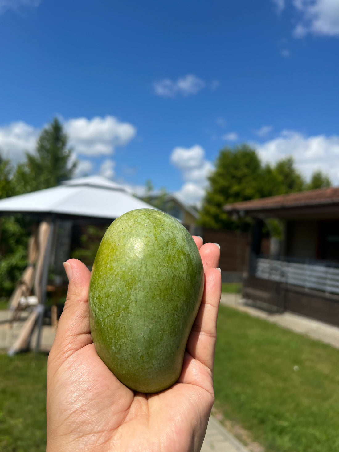 How to Identify Naturally Ripened Mangoes – A Simple Guide for Mango Lovers