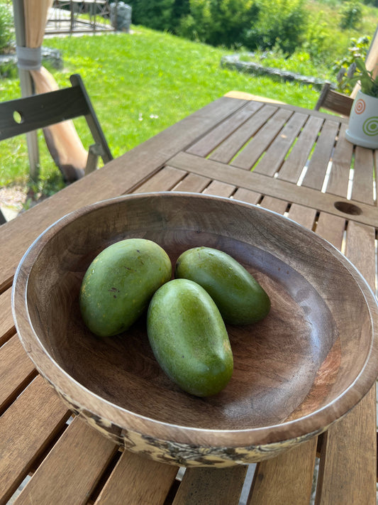 Why Seasonal Mangoes Taste Different Every Year