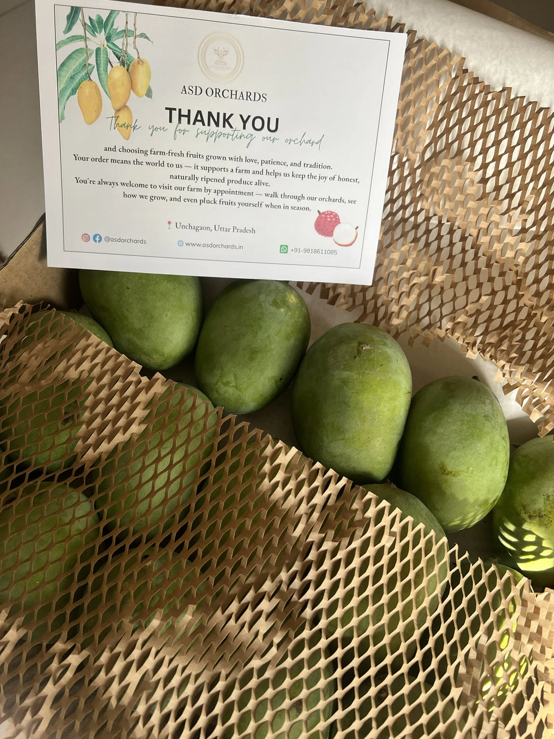 Why Farm Fresh Mangoes Feel Different From Market Mangoes