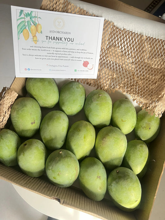 How to Store Mangoes Properly at Home