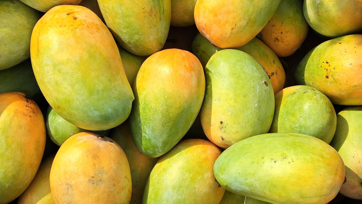 Dasheri mango farm fresh order online in delhi