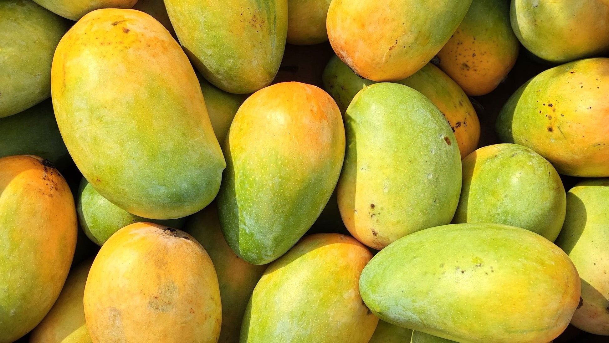 Dasheri mango farm fresh order online in delhi