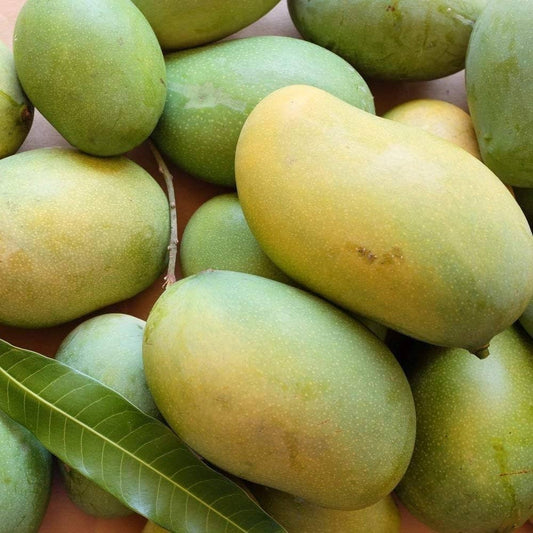 Amrapali Mango – Deep Orange, Compact & Flavourful (Pre-Book Now) - ASD Orchards