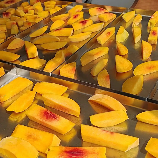 Buy Freeze Dried Peach Slices Online – Crisp, Naturally Sweet | ASD Orchards