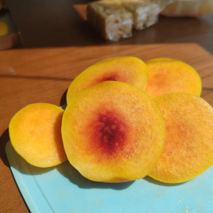 Buy Freeze Dried Peach Slices Online – Crisp, Naturally Sweet | ASD Orchards