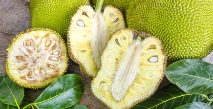 Jackfruit (Kathal) – Raw or Ripe, Naturally Harvested - ASD Orchards