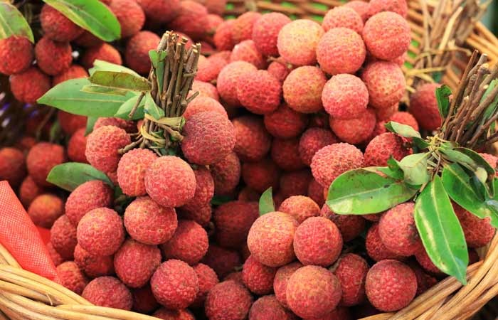 Fresh Lychees – Juicy, Sweet & Straight from the Orchard - ASD Orchards