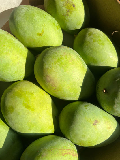 Langra Mango – Naturally Ripened, Fiberless & Aromatic