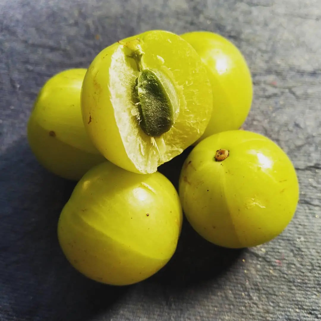Farm fresh Alma Gooseberries – ASD Orchards