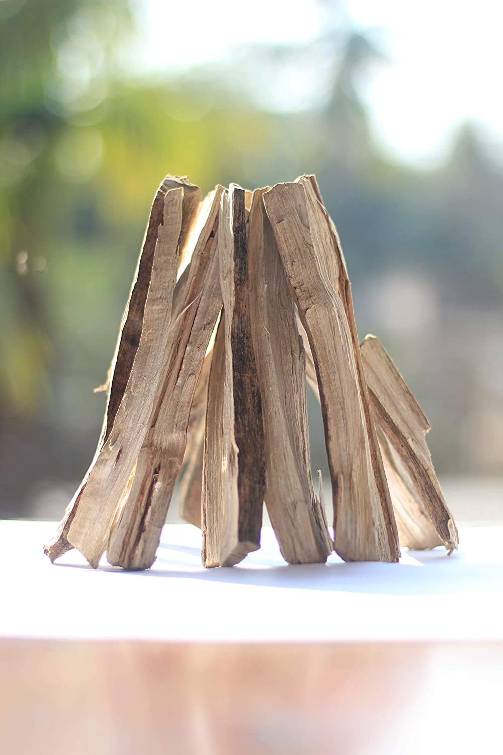 Mango wood for sale