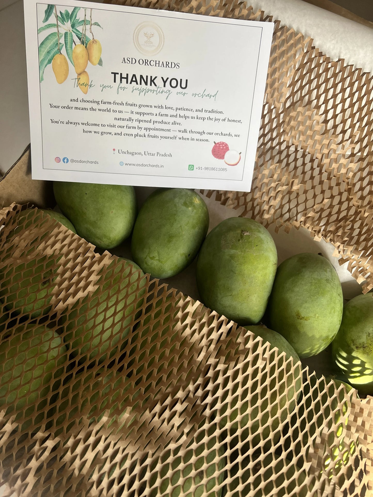 ASD Orchards Langra Mango packing box