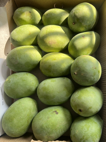 Handpicked Langra Mangoes basket – ASD Orchards