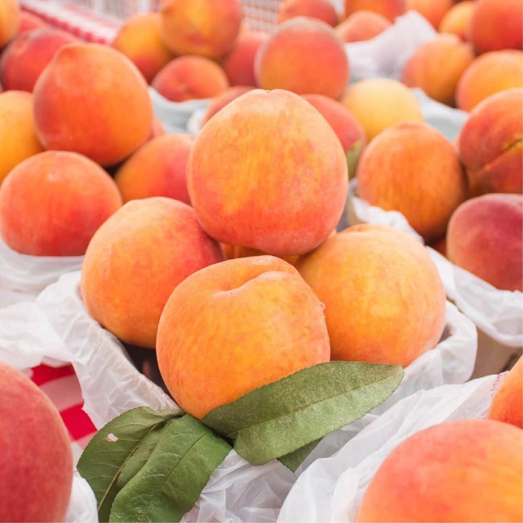 Peach – Buy Fresh, Juicy Peaches Online | Farm Fresh