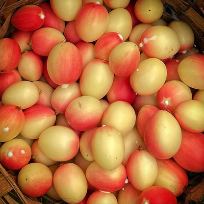 Healthy fresh foods and vegetables in Delhi