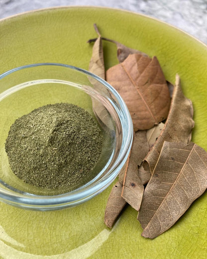 Dry mango leaves powder